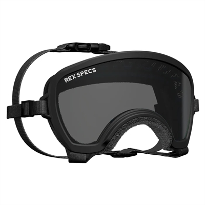Hundglasögon REX Specs V2 Sol- & skyddsglasögon SMALL WIDE SVART